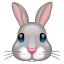 Triušio emoji U+1F430 Triušio emoji U+1F430